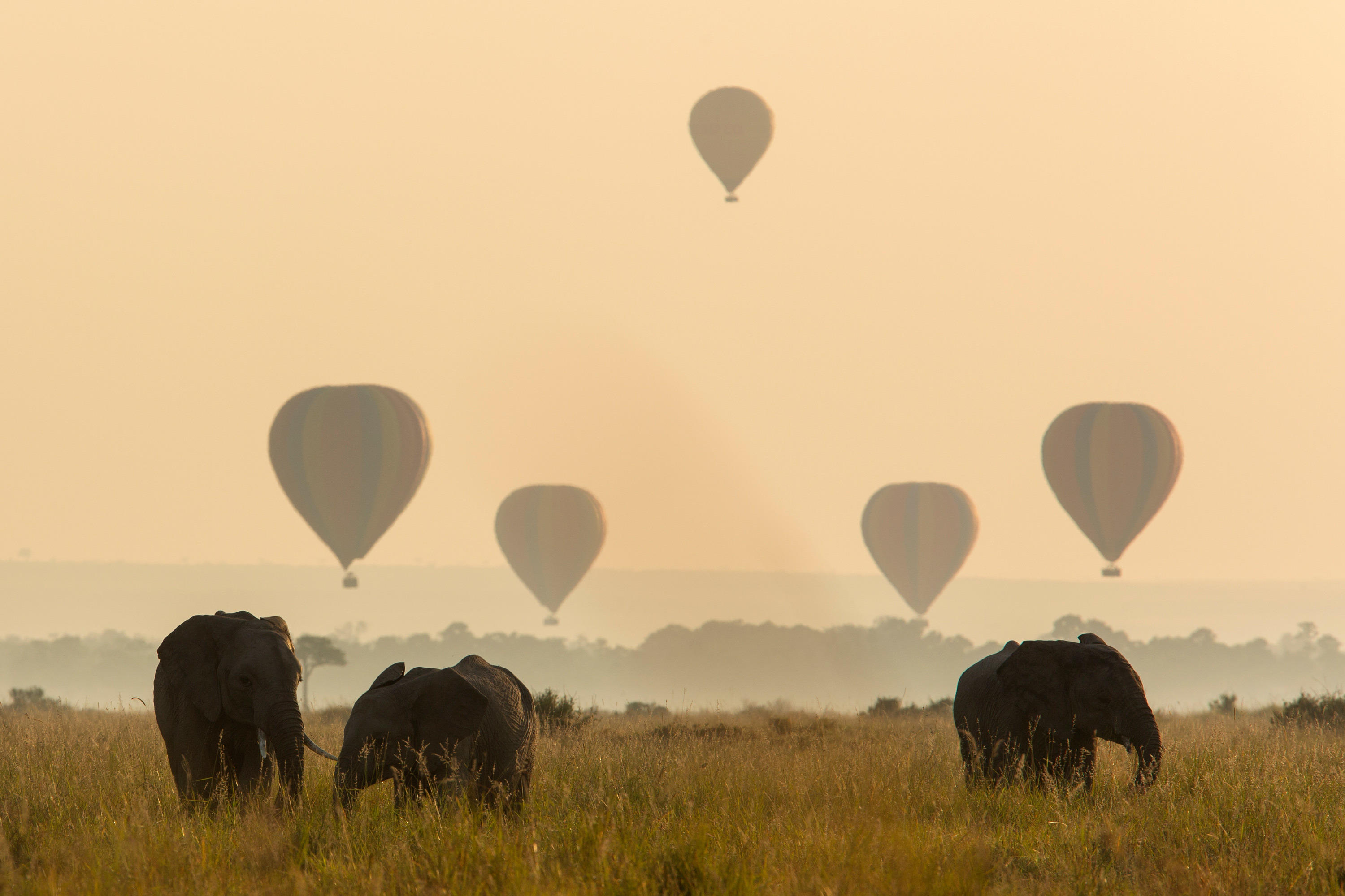 Hot-air balloon rising over Kenya's Maasai Mara